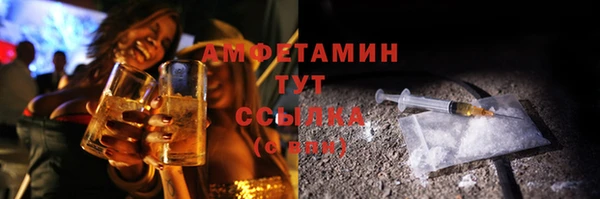 индика Краснослободск