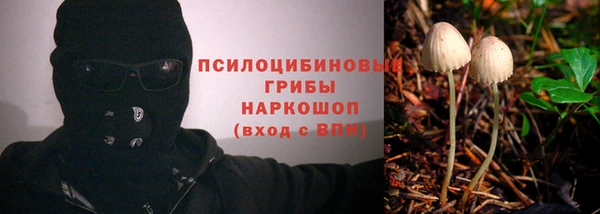 каннабис Алексин
