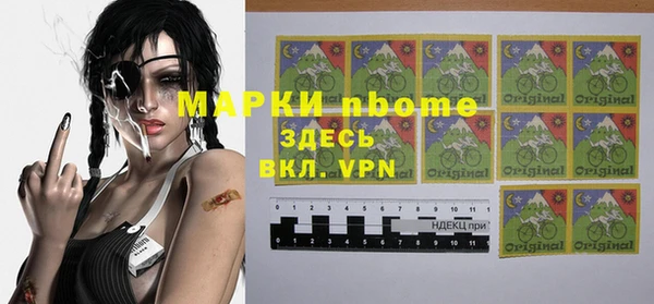 индика Краснослободск