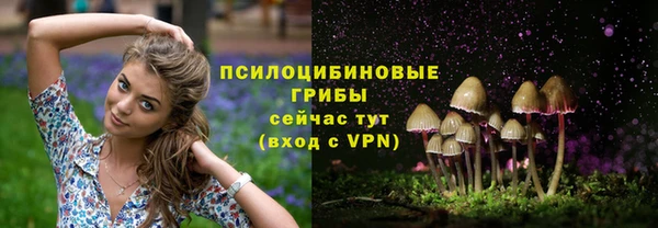трава Алзамай